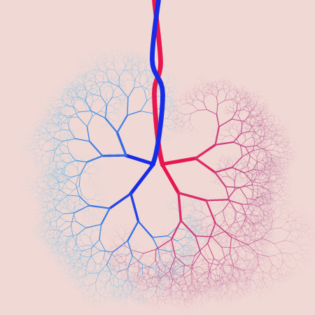 capillary trees #18