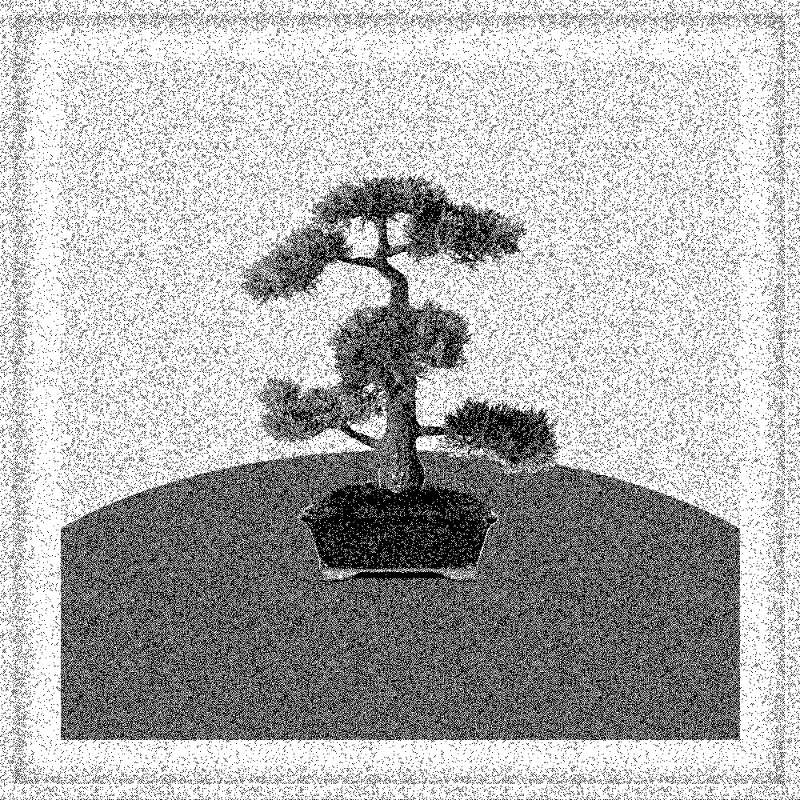 Bonsai Bonanza #101