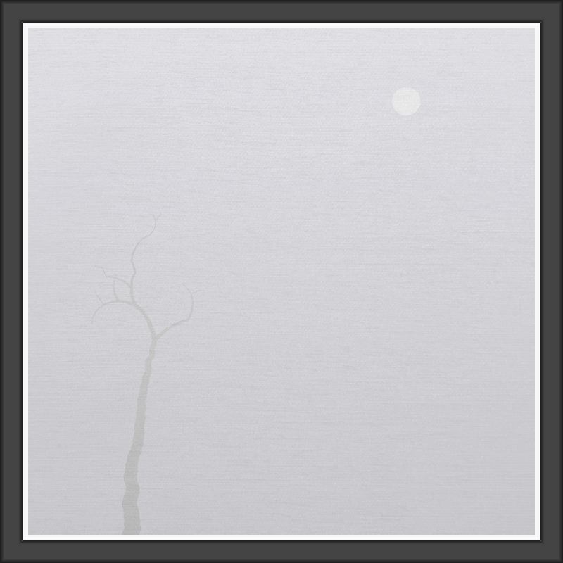 The Foggy Trees #67