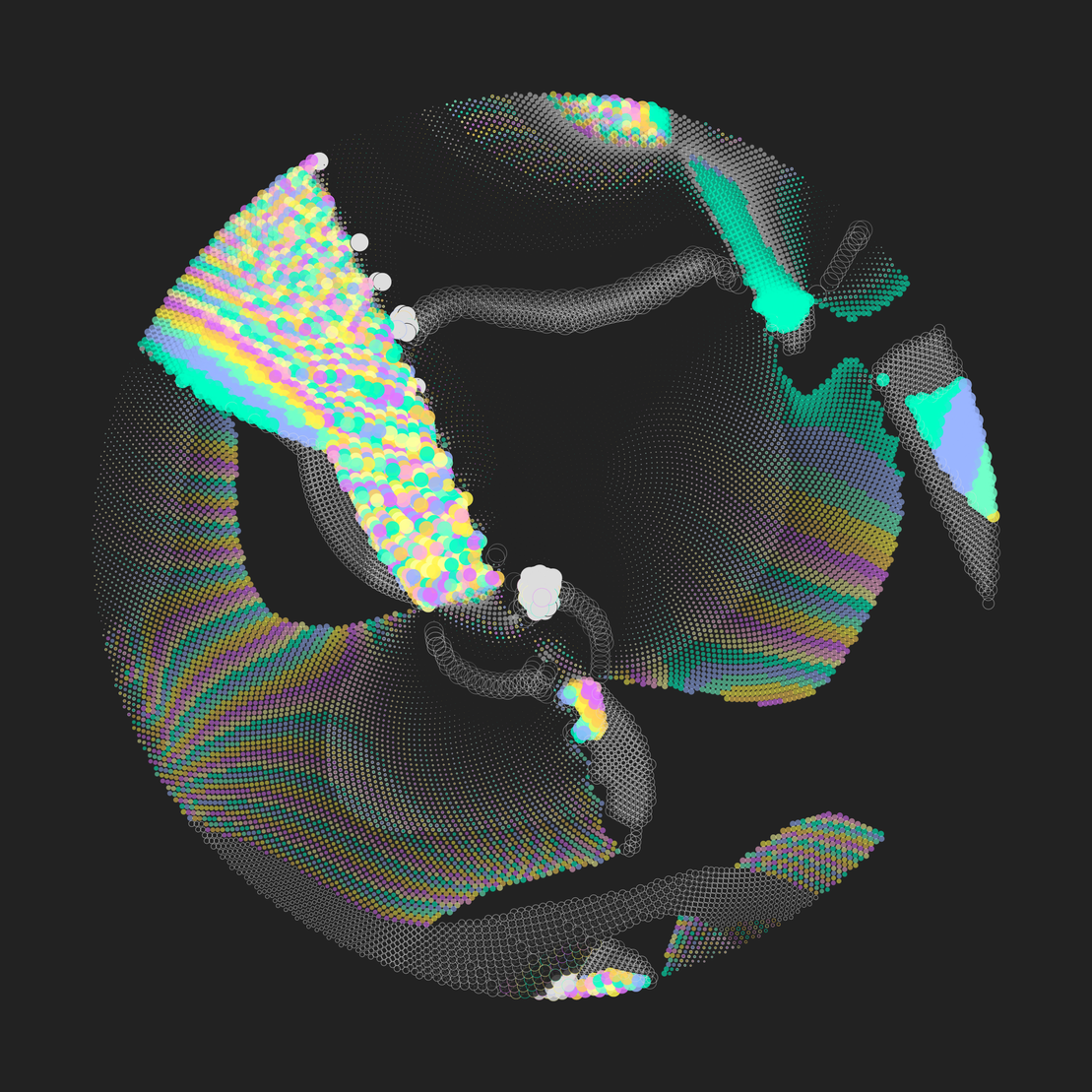 Still C #31238