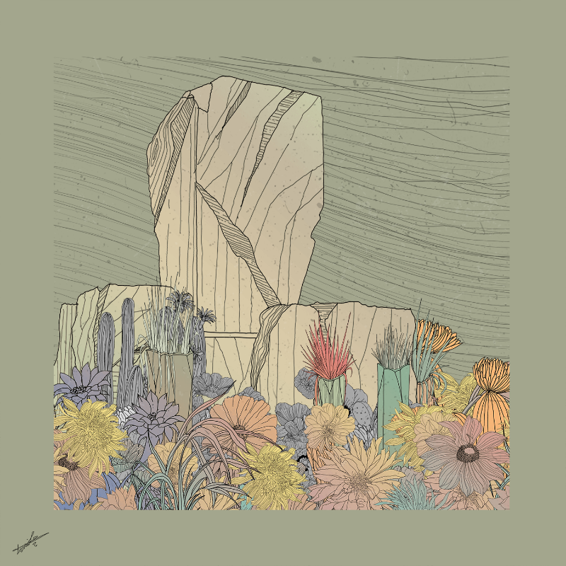 Garden of Lines #Rocks_Blooms #36