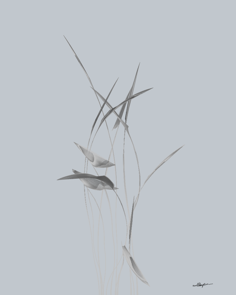 InBloom #114