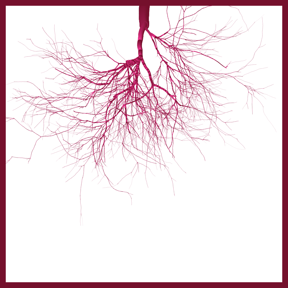 Arbres suspendus #215