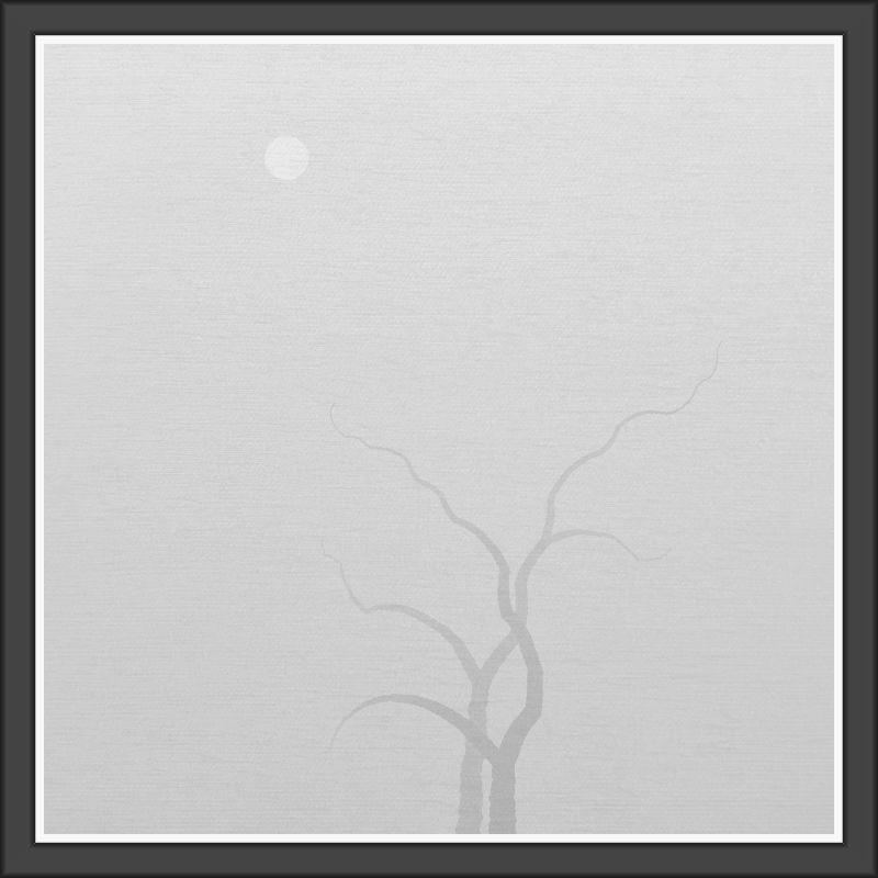 The Foggy Trees #38