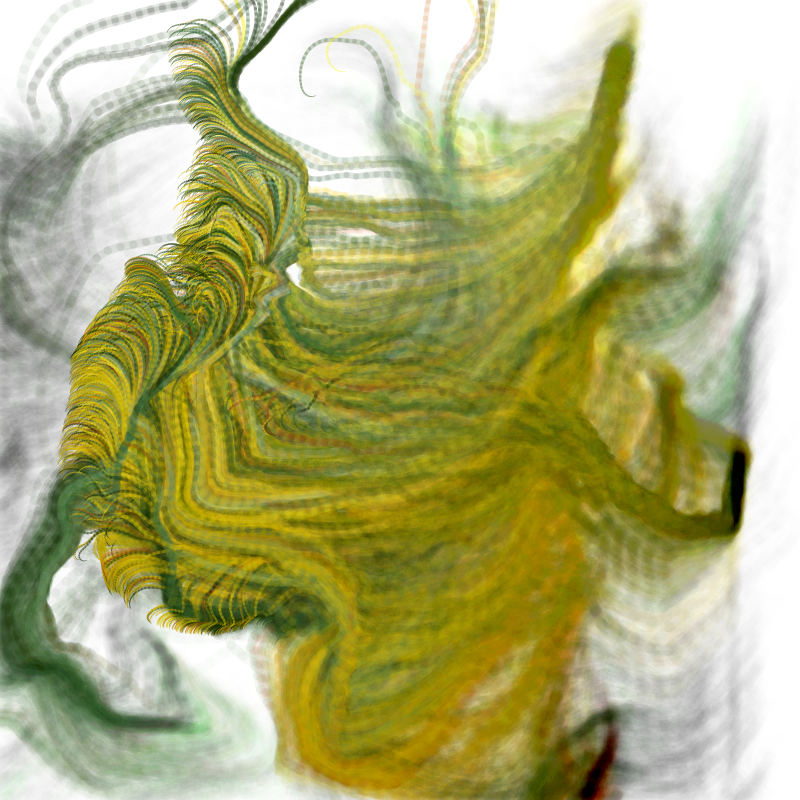 Hypericum #52