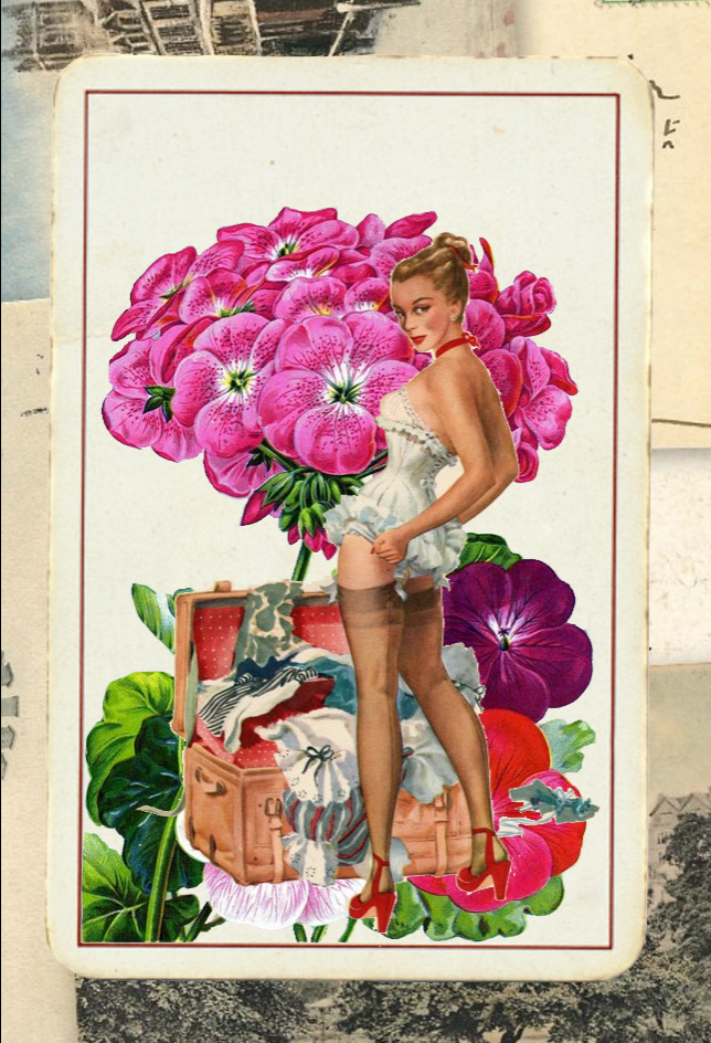 Paper Pinups  #37