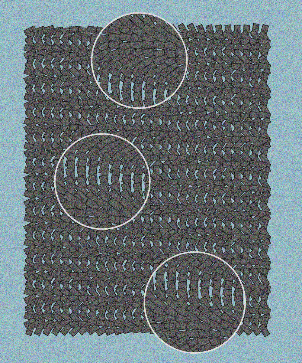 Plexus #2