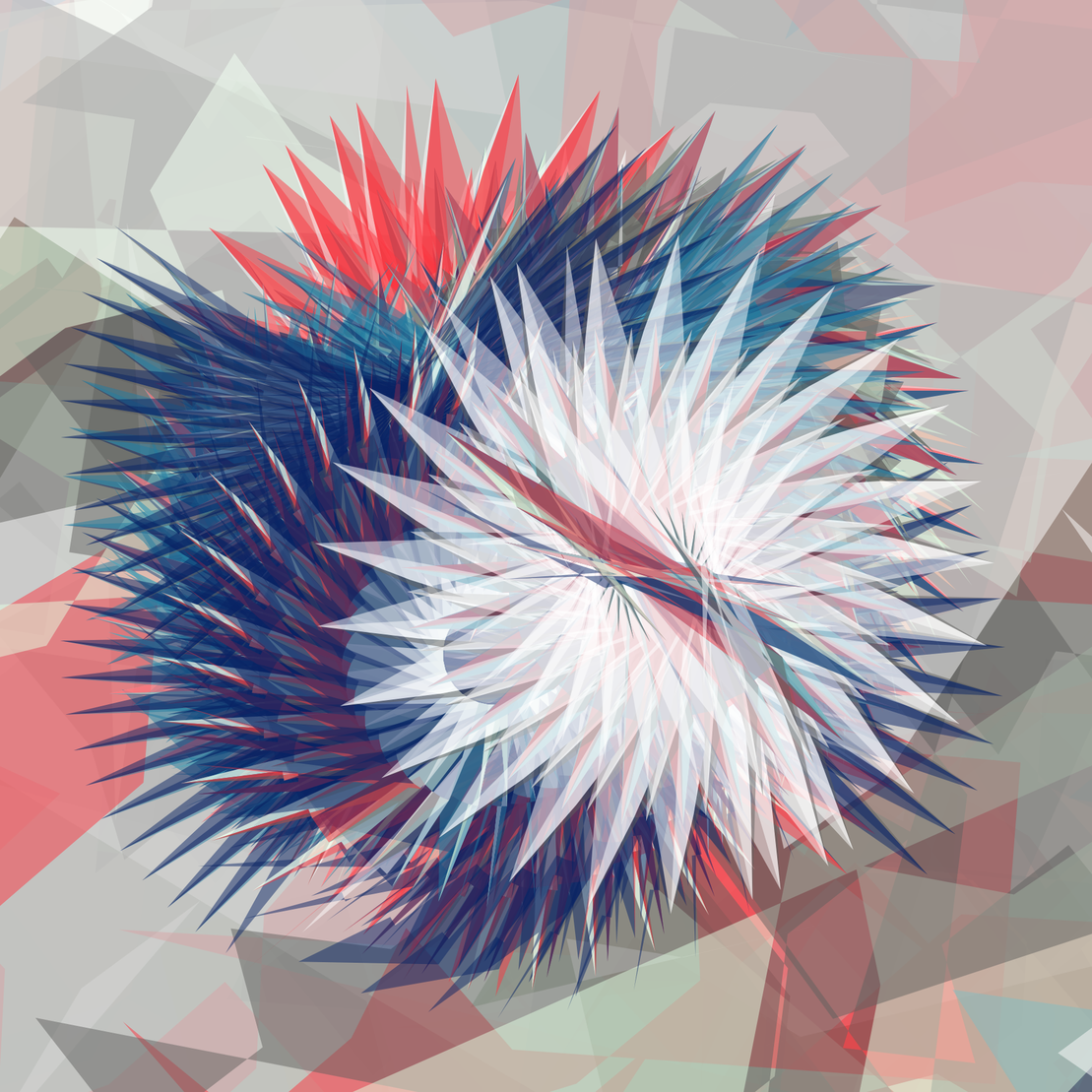 Tillandsia Lens #32