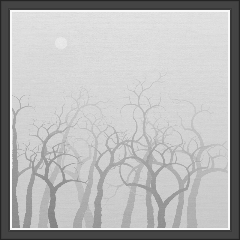 The Foggy Trees #36