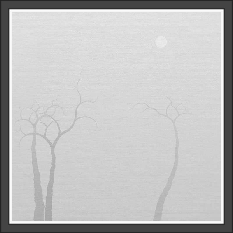 The Foggy Trees #25