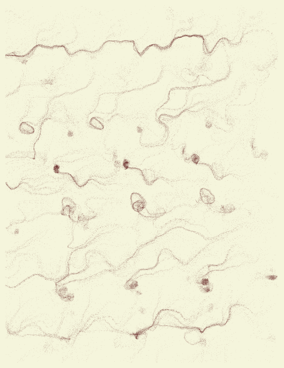 fx(flowField) #96