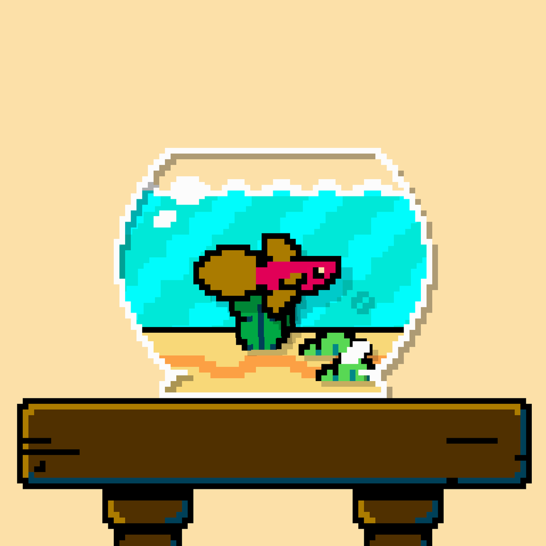 betta fish #322