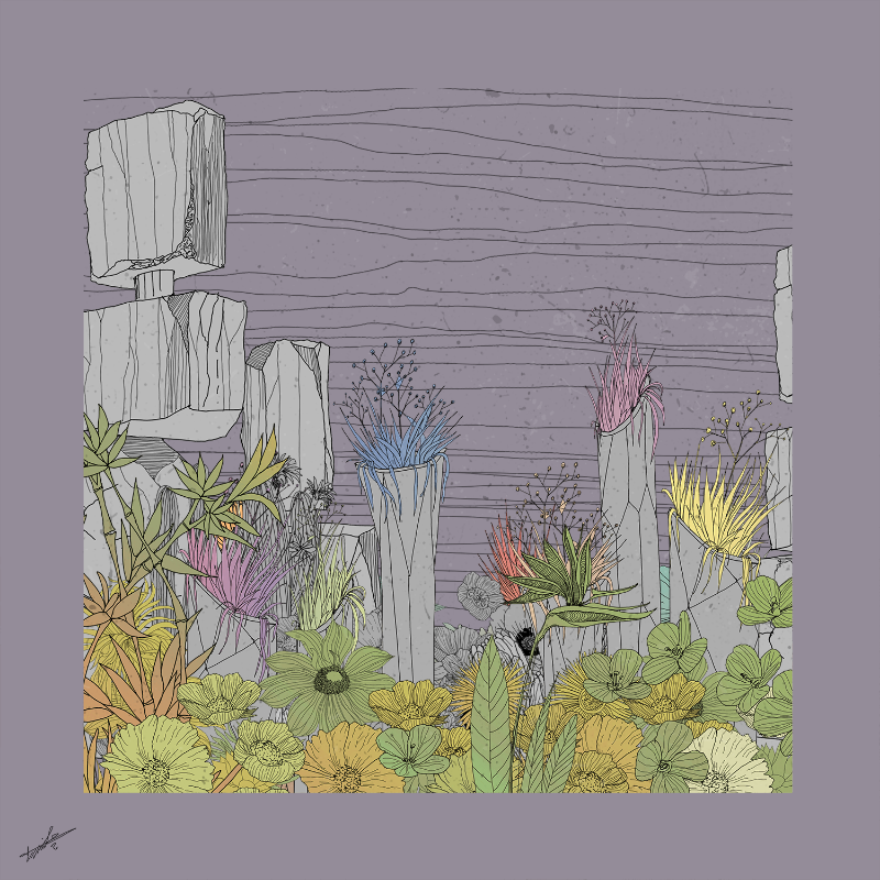 Garden of Lines #Rocks_Blooms #26