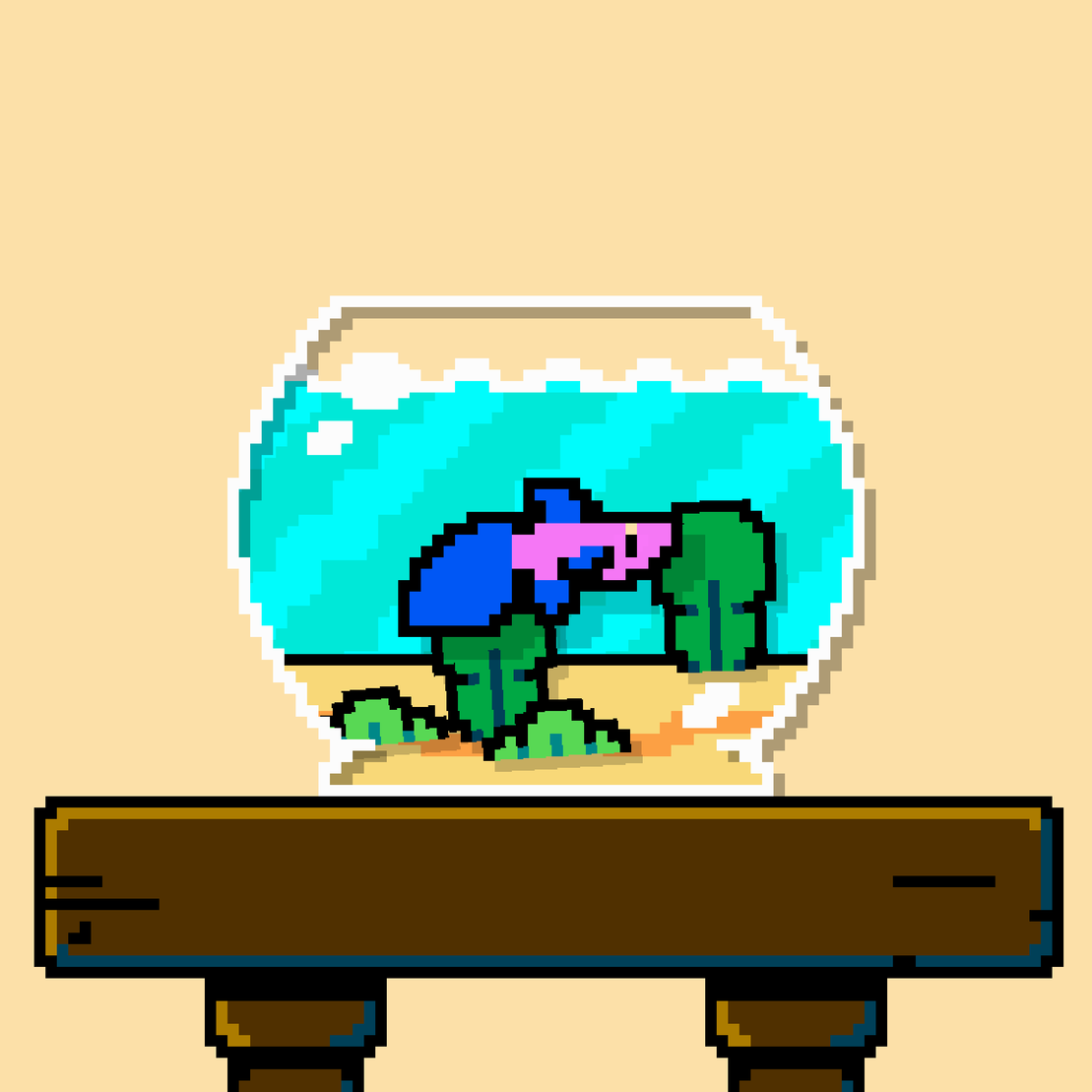 betta fish #657