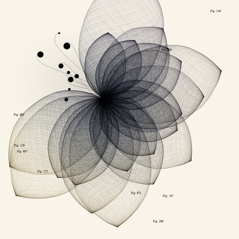 Herbarium #953