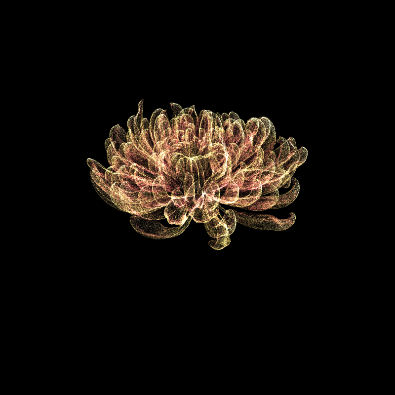 Chrysanthemum Morifolium 30 #93