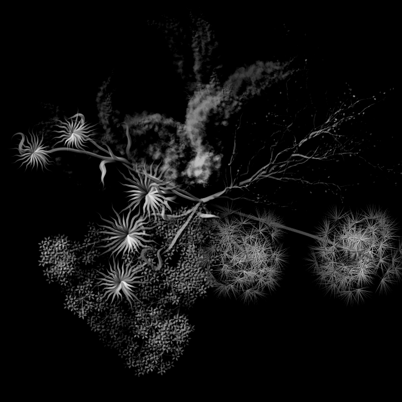 Botanical Ghosts #193