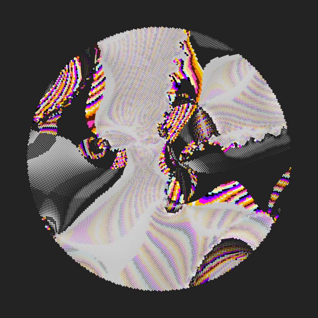 Still C #21159
