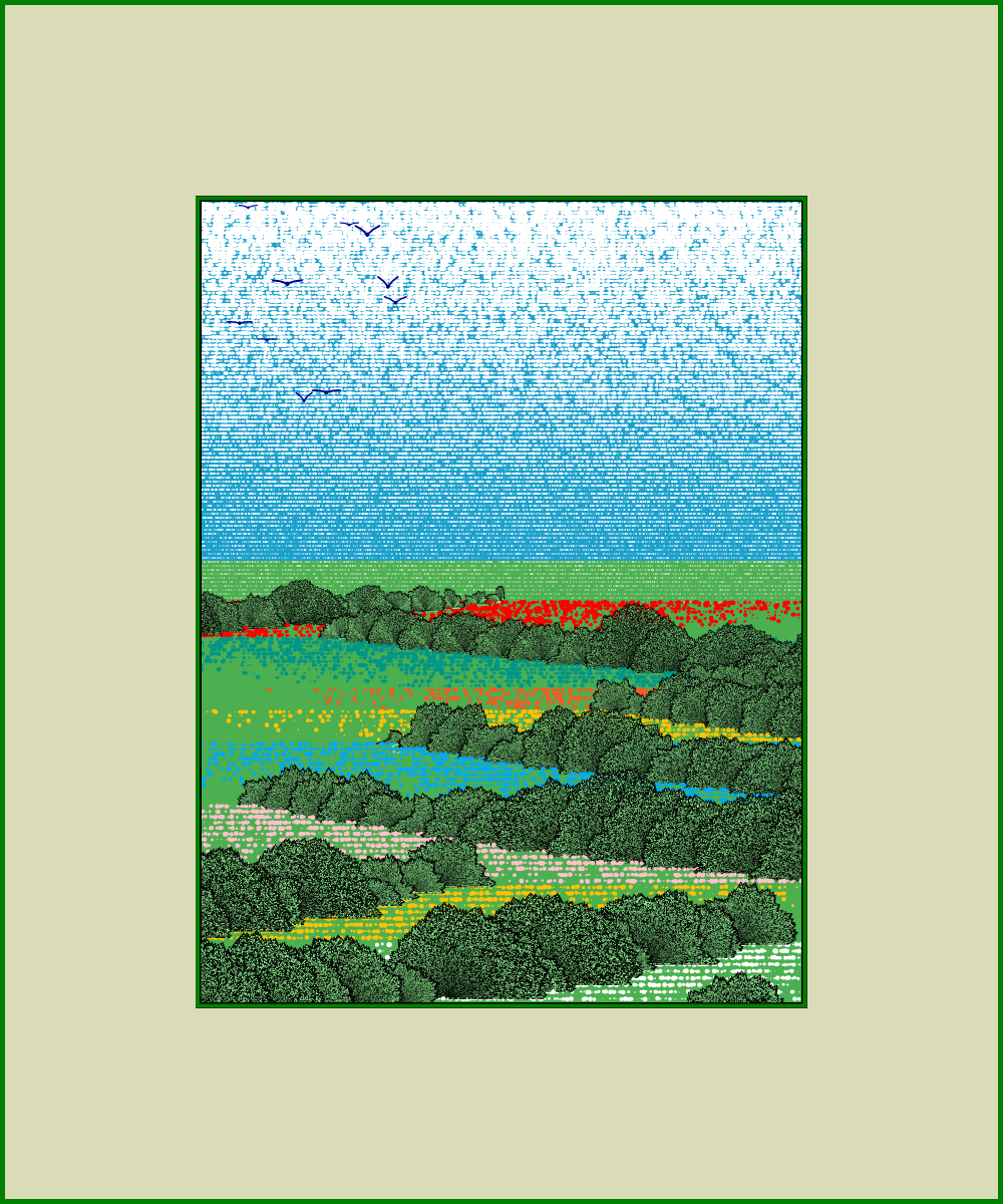 Fields of flowers