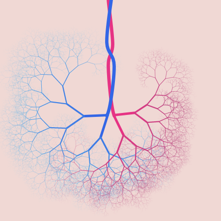 capillary trees #3