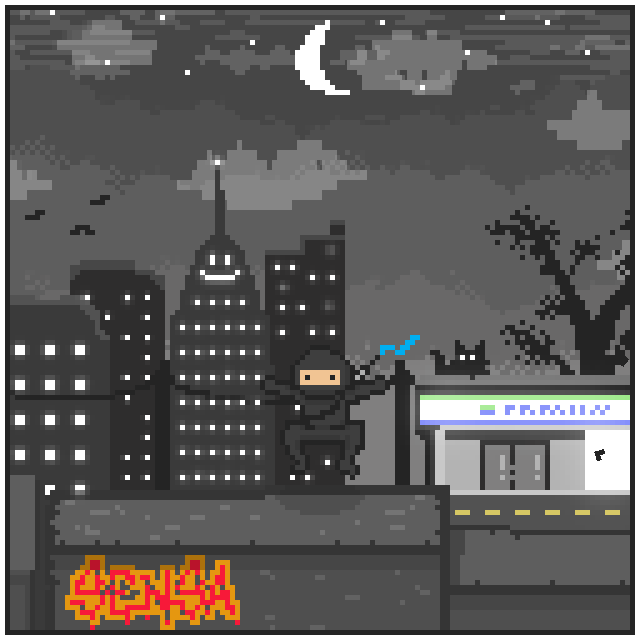 City Ninjaz #27