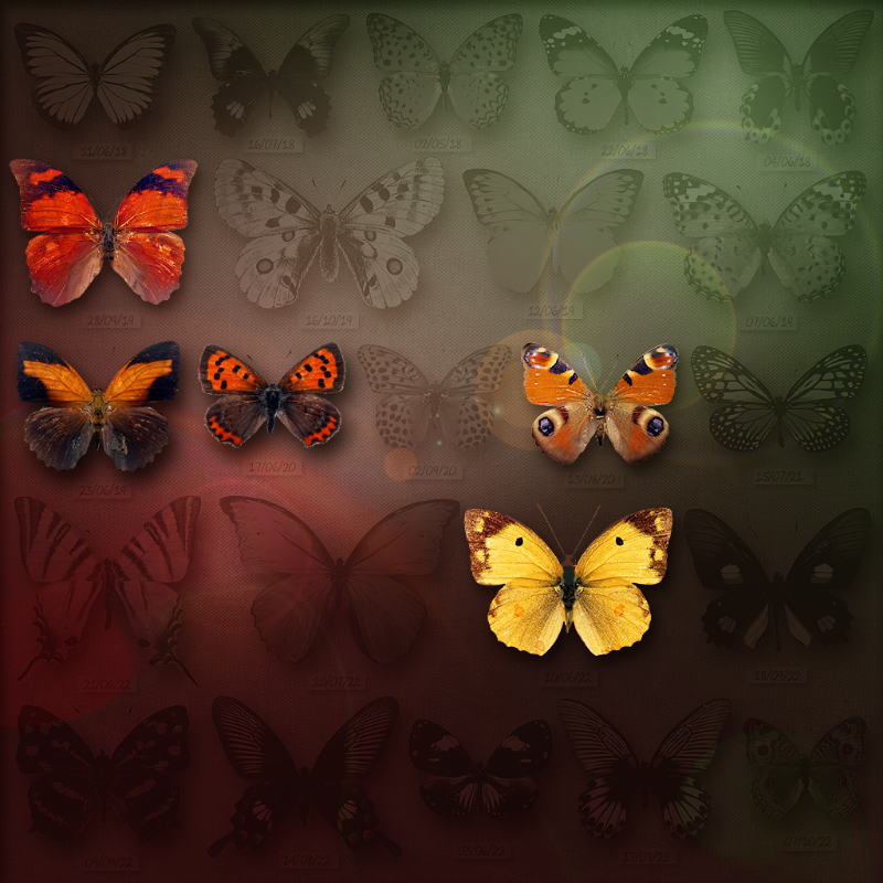 Save Butterfly World #4