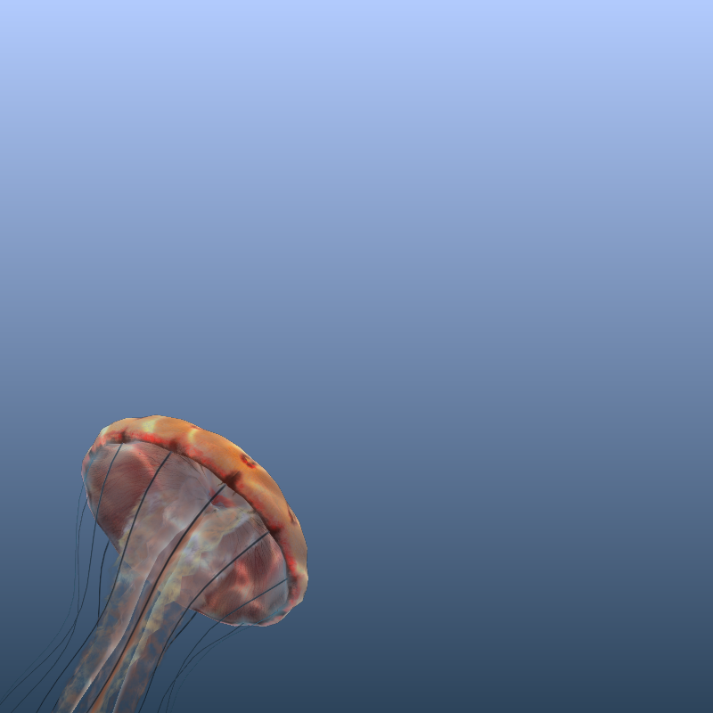 Jellyfish #12