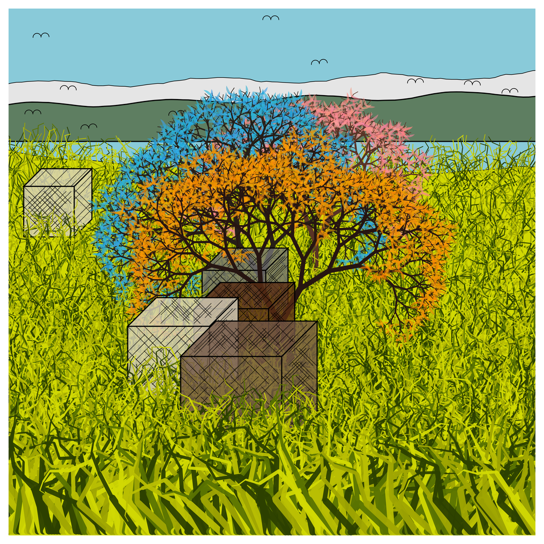 Cube Forest #79