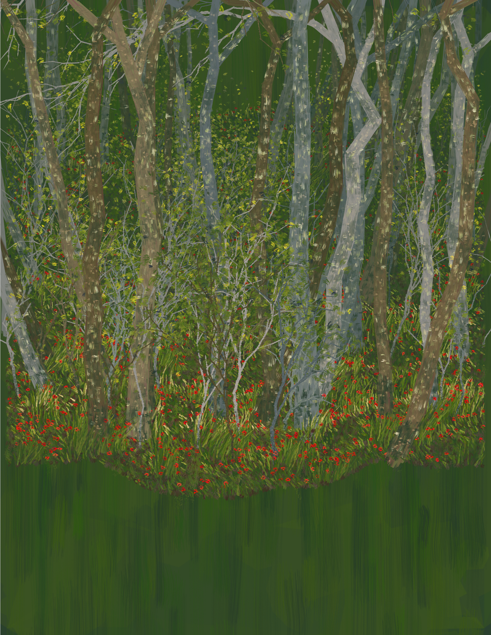 Deep Forest #113
