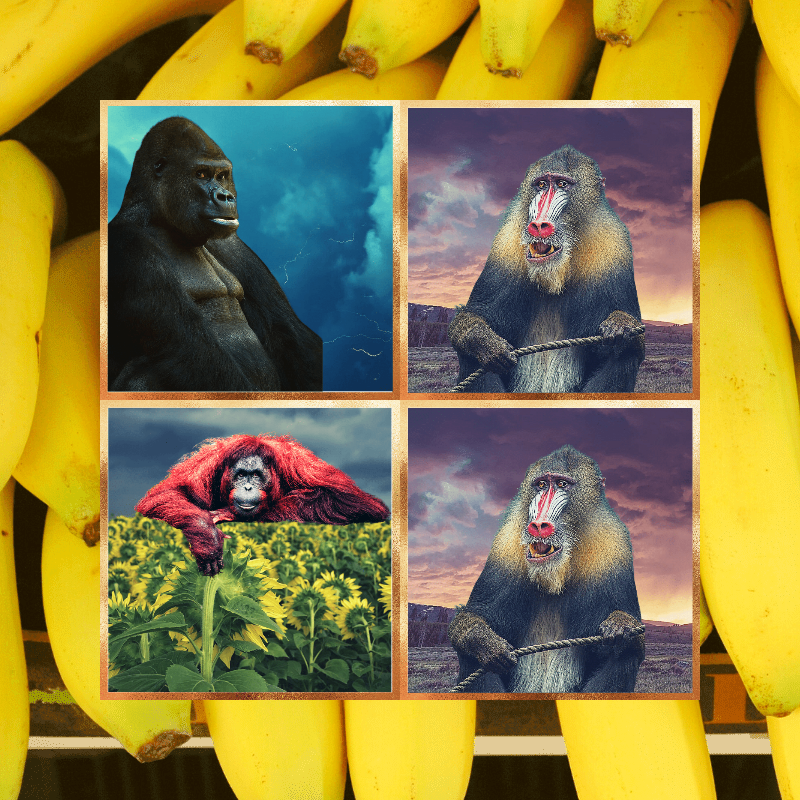 Banana legends #55