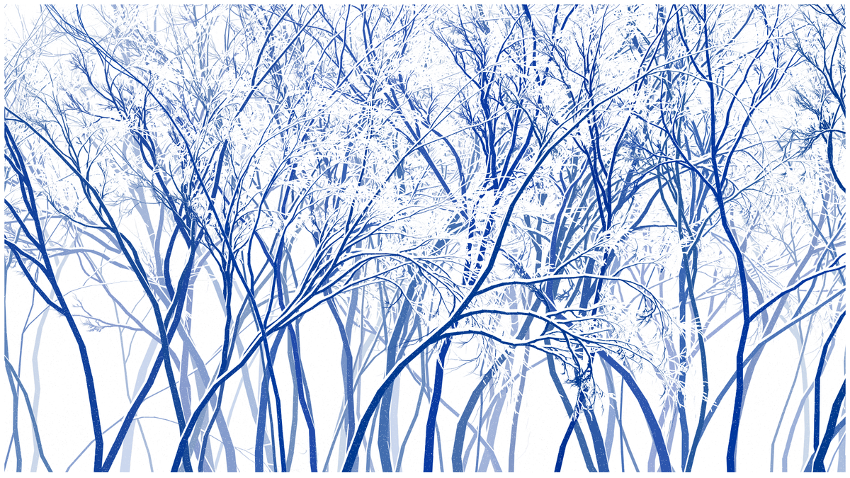 SCHNEEWALD #29