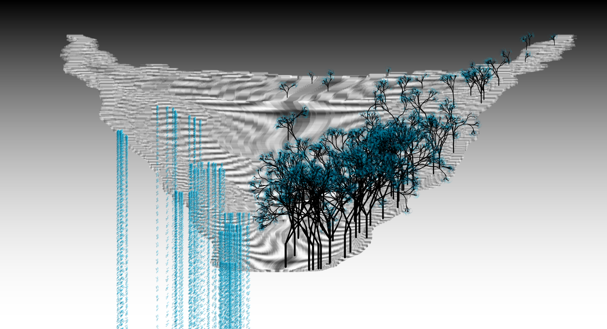 Flow and Flora #10