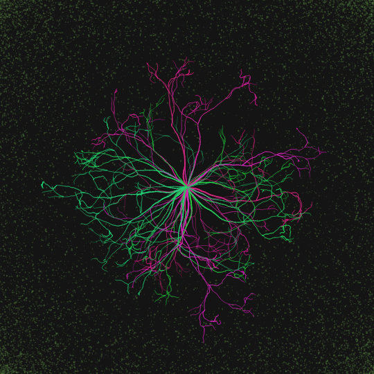 nuclear decay #3