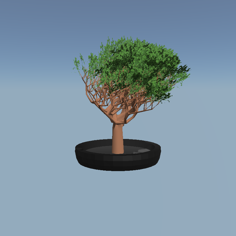 chilling bonsai