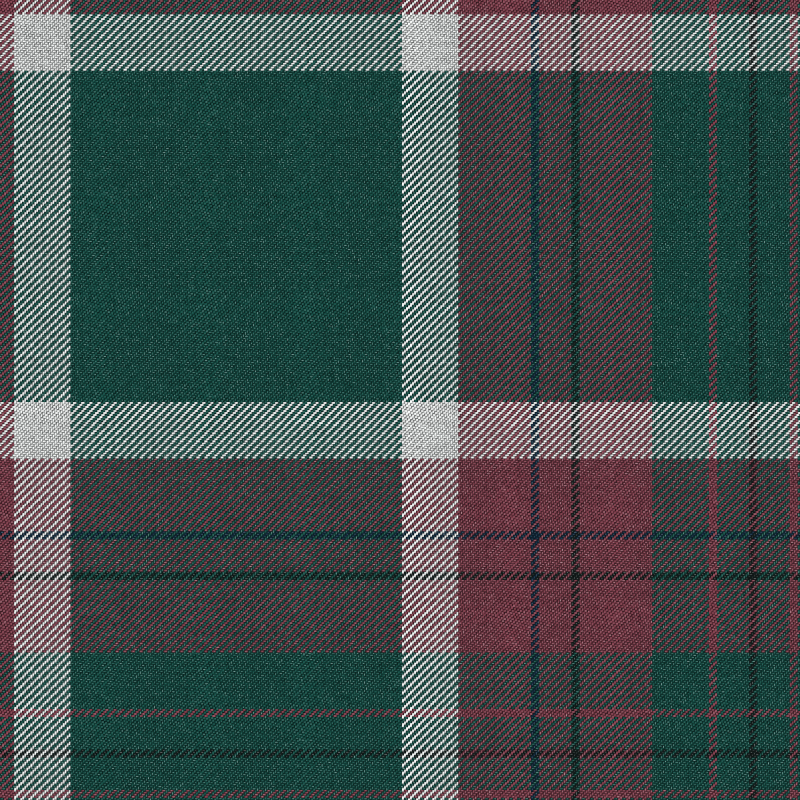 Tartan Cloth #10