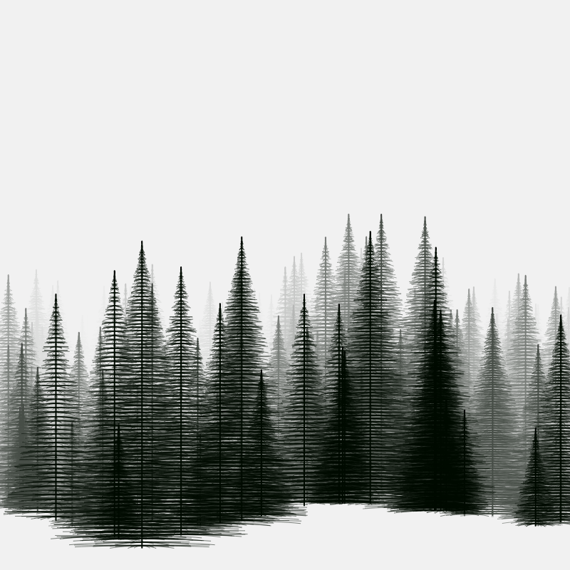 Pine trees in the cold #8