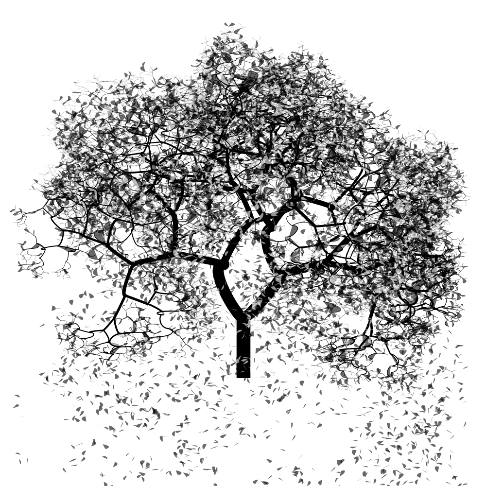 Bézier Bloom #45