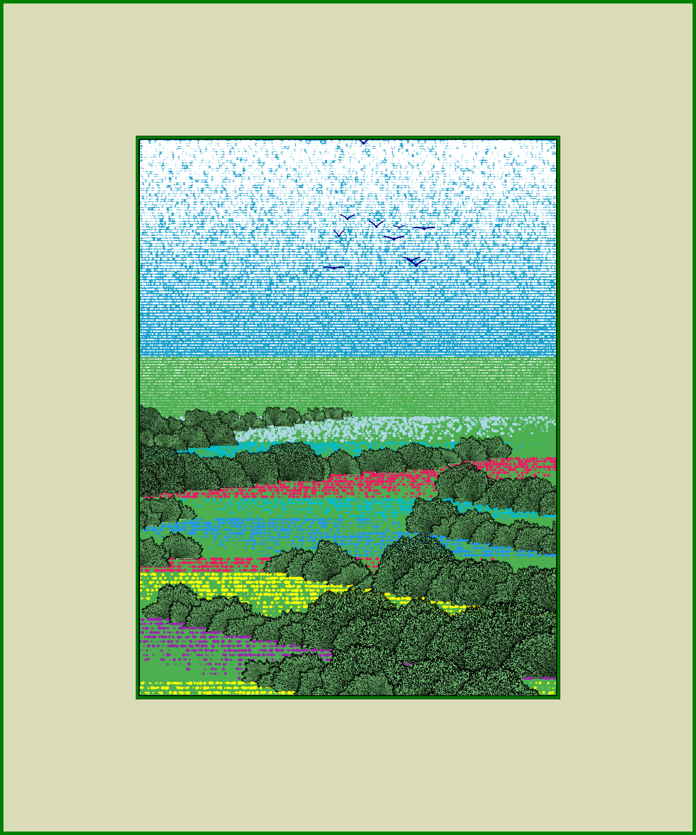 Fields of flowers #17