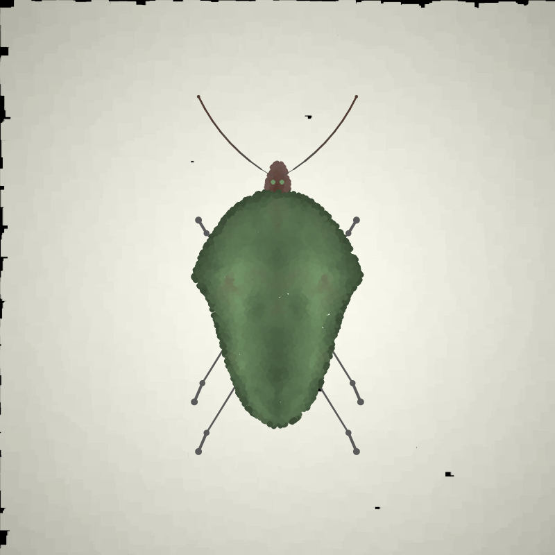 Beetle Sketches #15