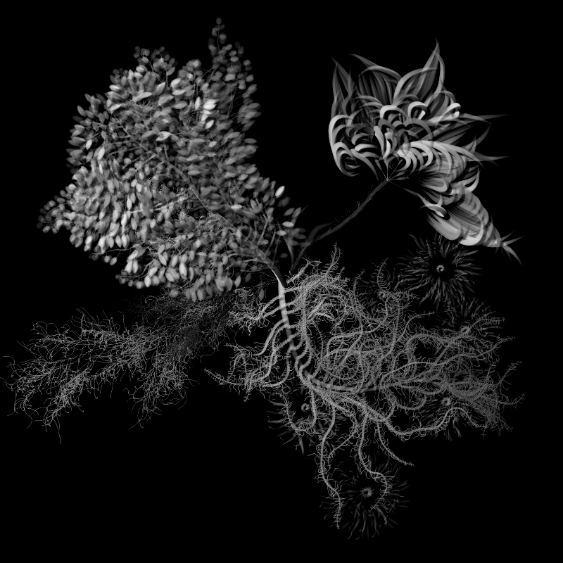 Botanical Ghosts #174