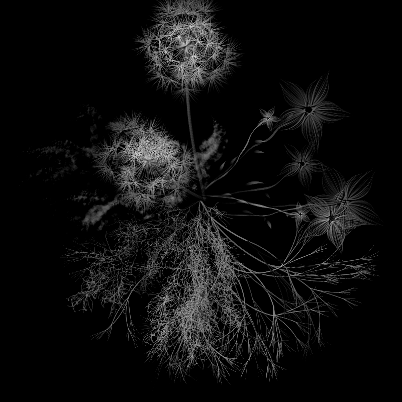 Botanical Ghosts #212