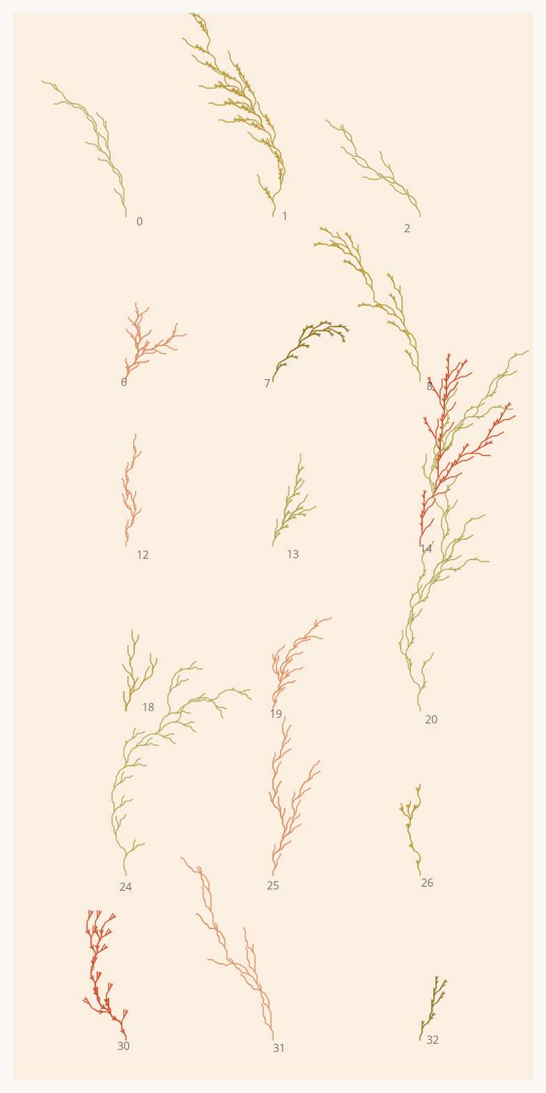 Seaweed Study #12