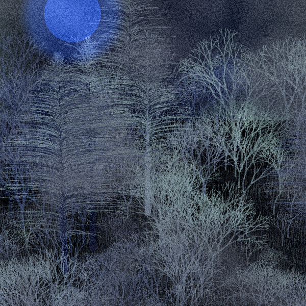 Moonlit Native Bush #5