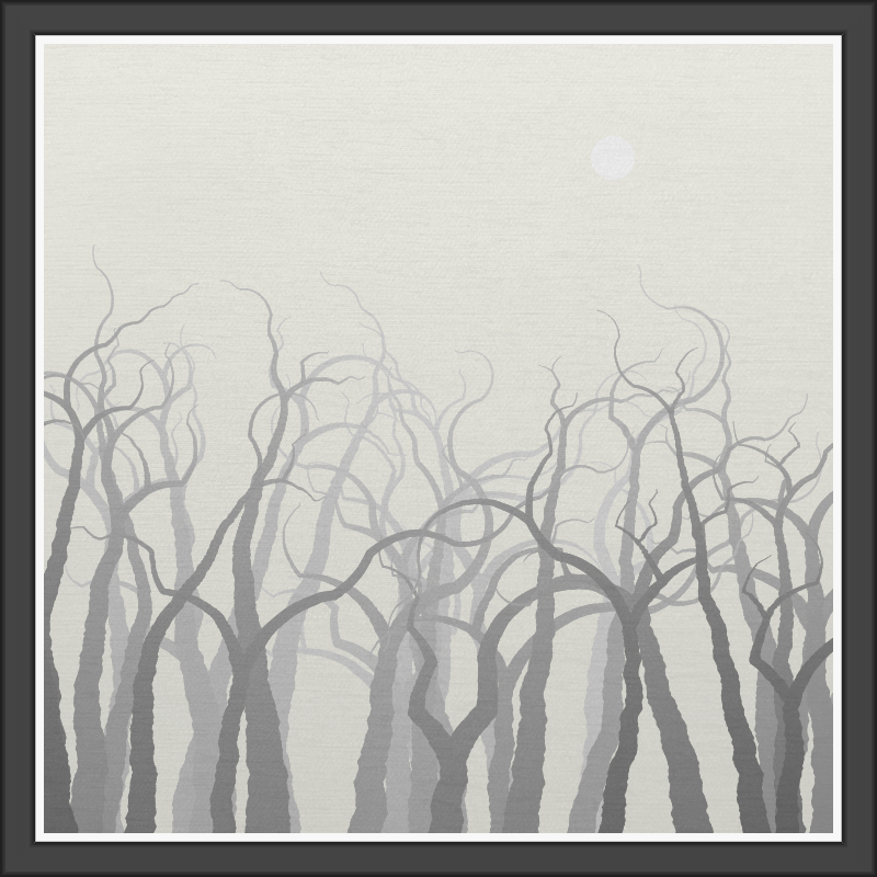 The Foggy Trees #63