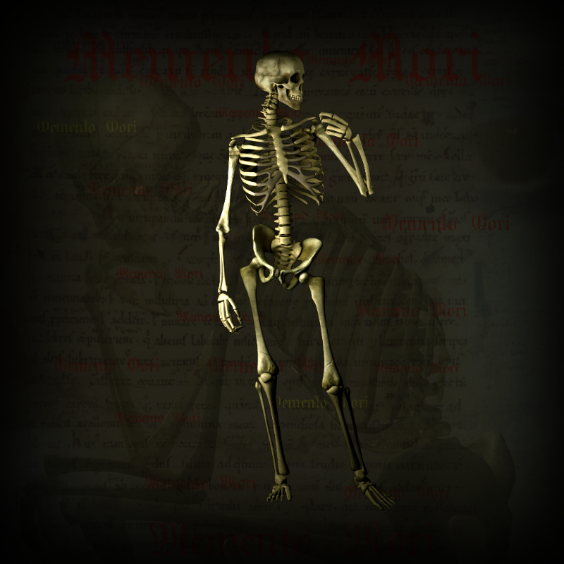 Memento Mori #5