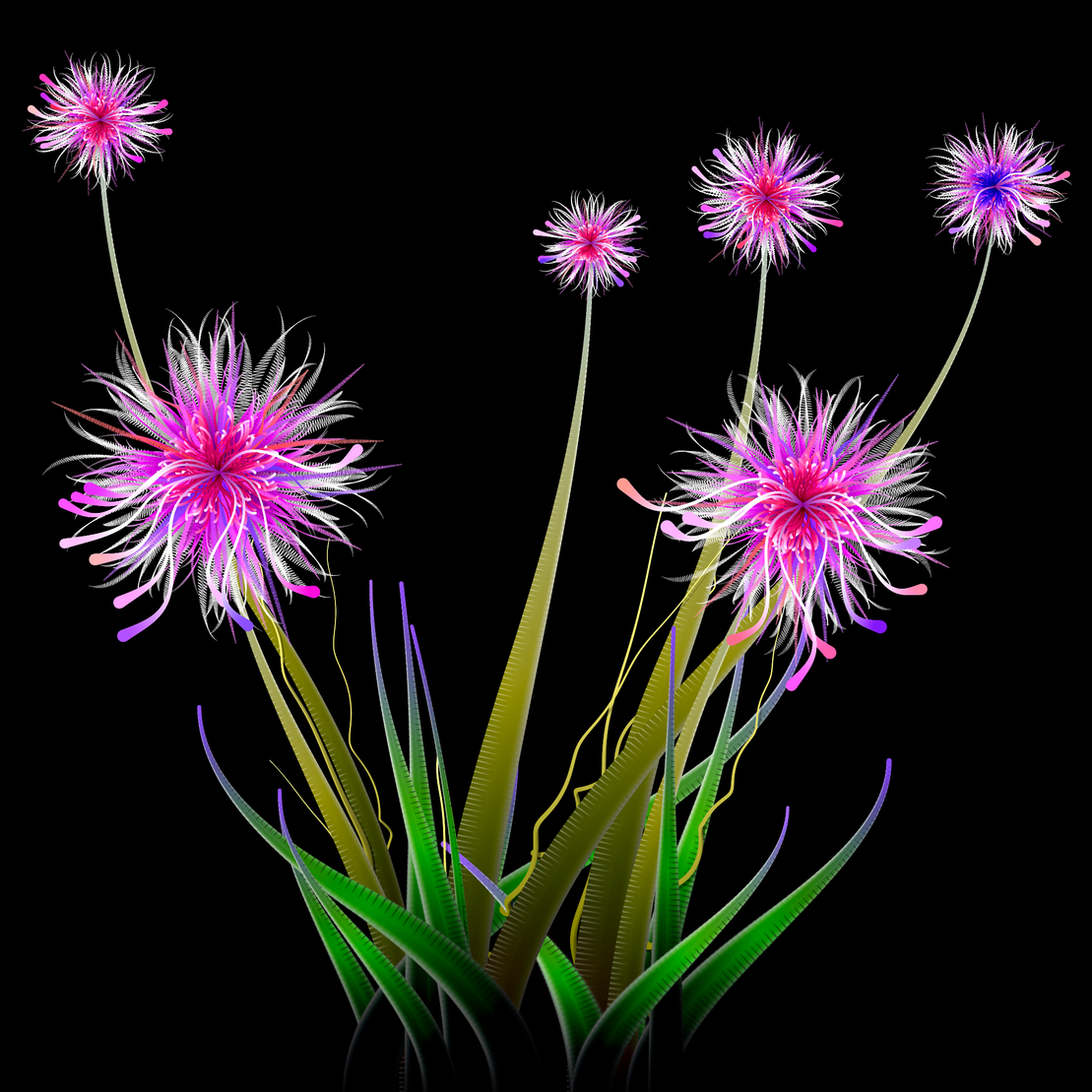 Milena’s Flowers #27