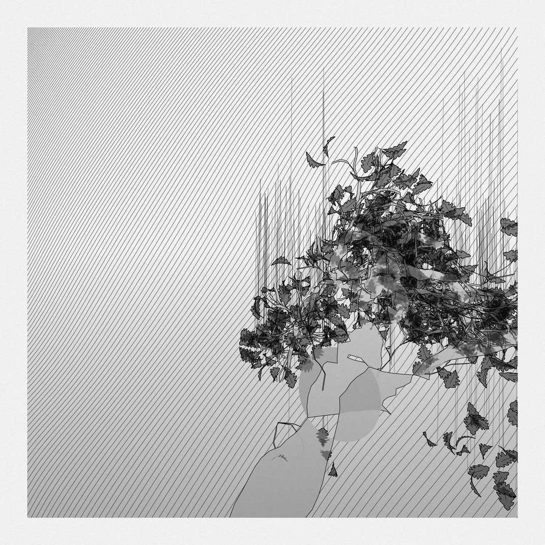 A Bugged Forest #949