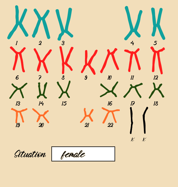 "Karyotype" #14