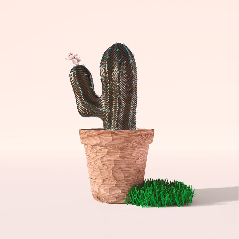 3D Crypto Cacti #52