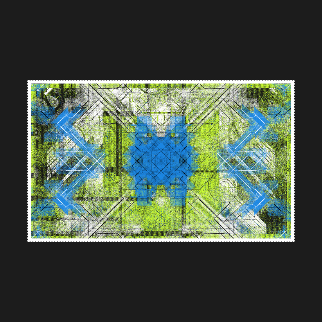 貝殻 | SHELL #68